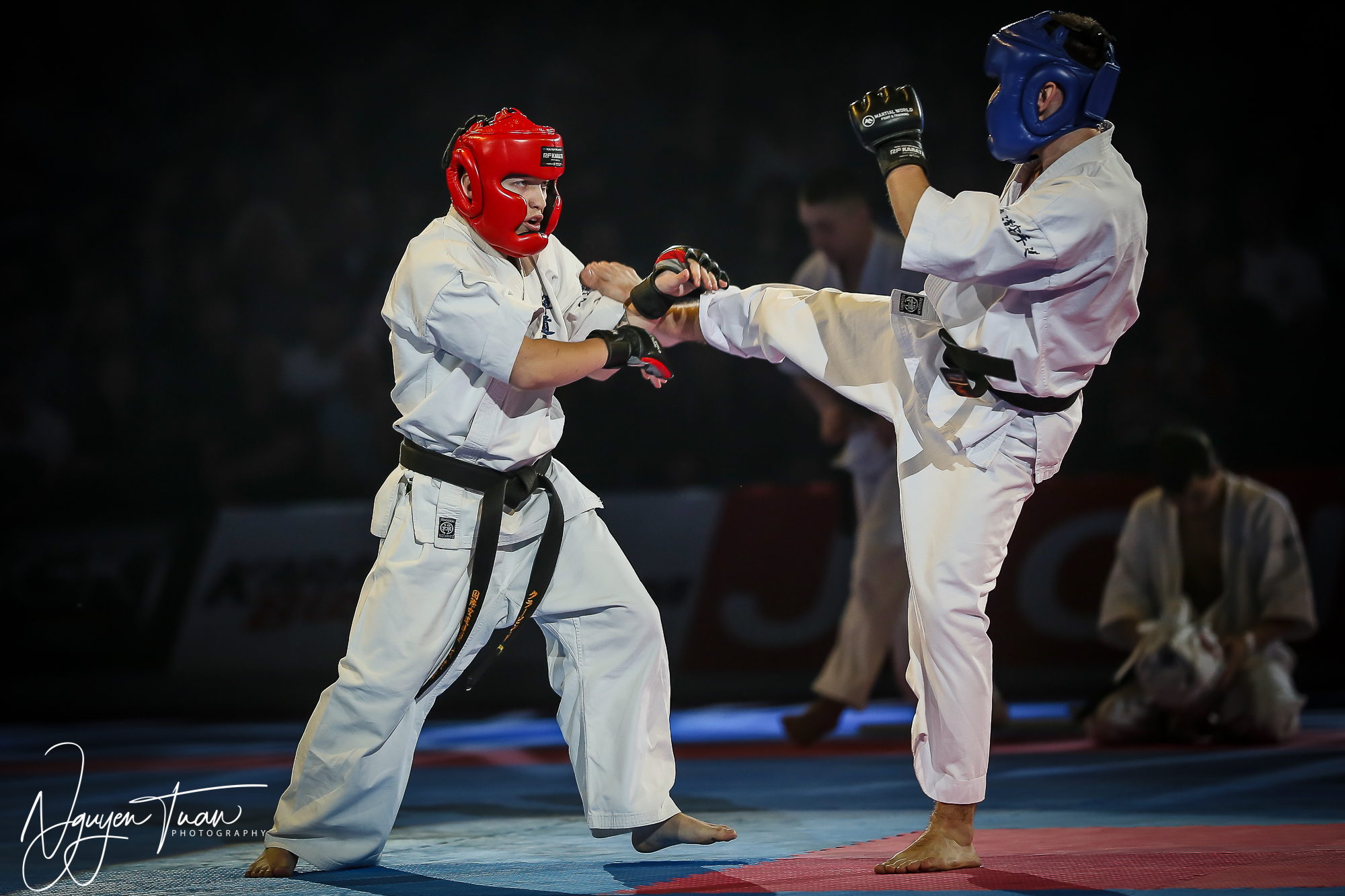 20190324 Festival des Arts Martiaux 3212